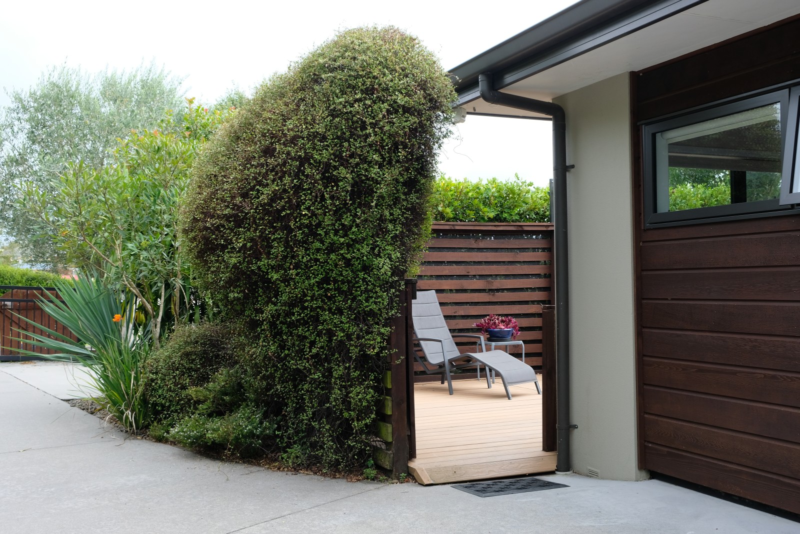 Luxury Stay - Parrot Nest 1